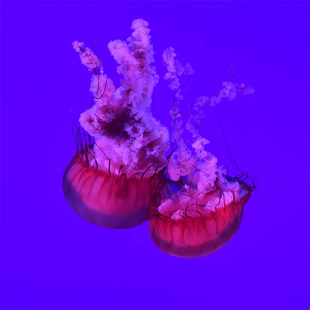南宫28